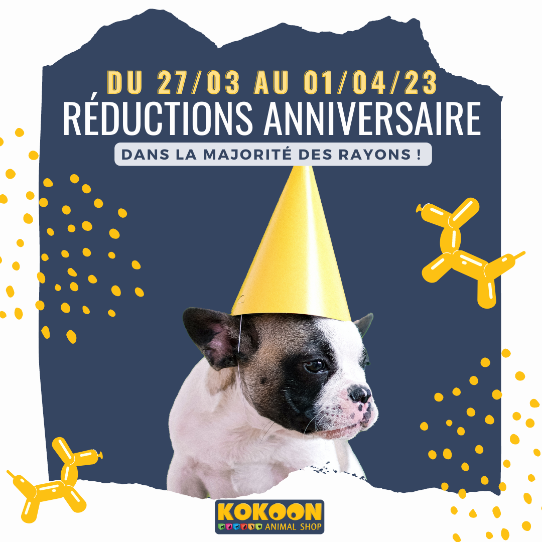 La Teste : promos anniversaire