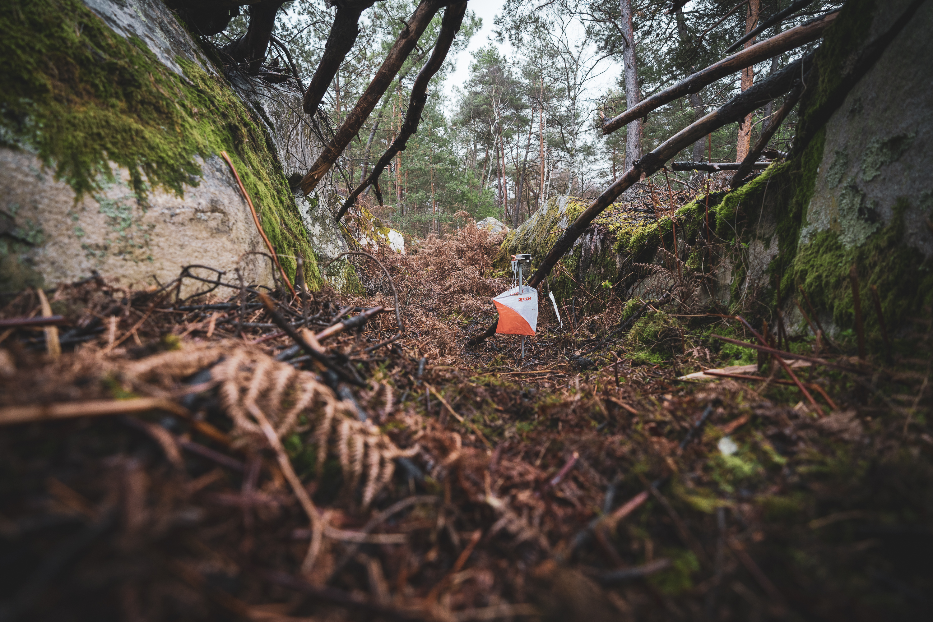 Balise en forêt