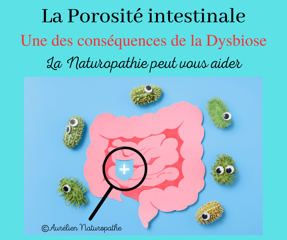 Porosite-intestinale