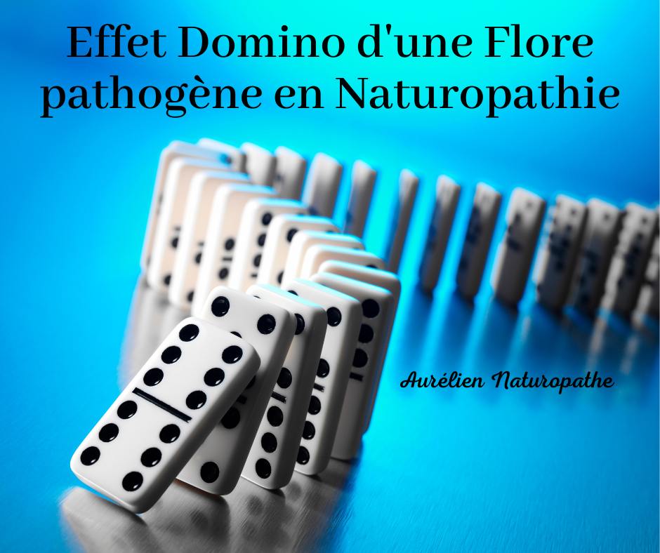 Effet-domino-d-une-flore-pathogene