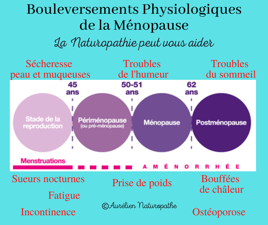 Bouleversements-physiologiques-de-la-Menopause