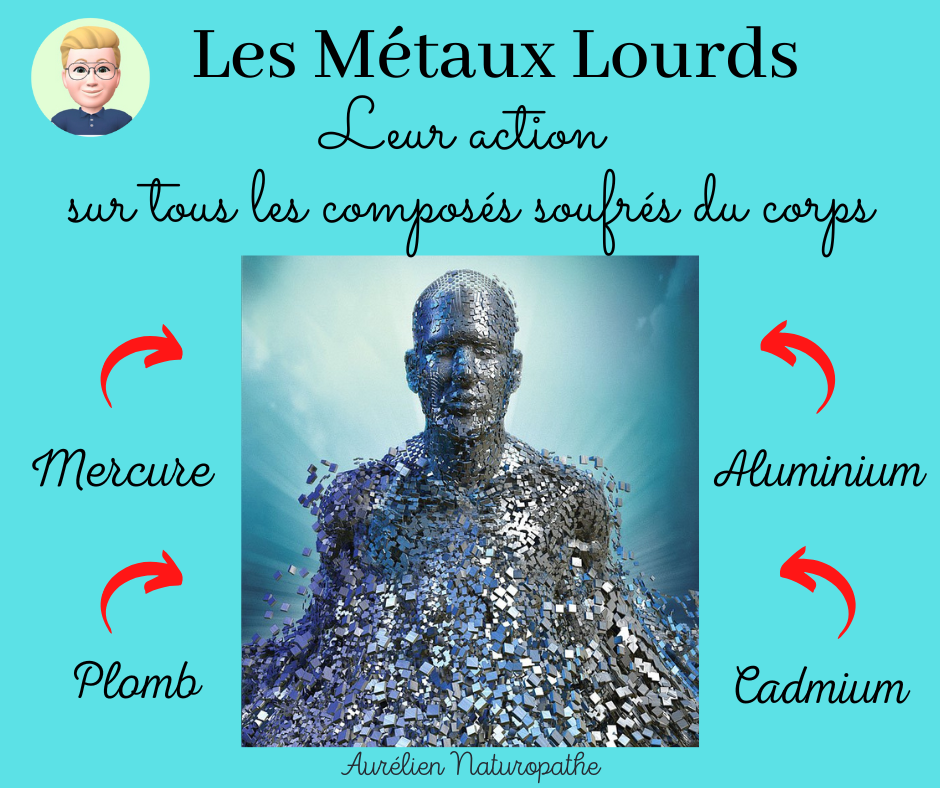 Les-metaux-lourds-et-composes-soufres