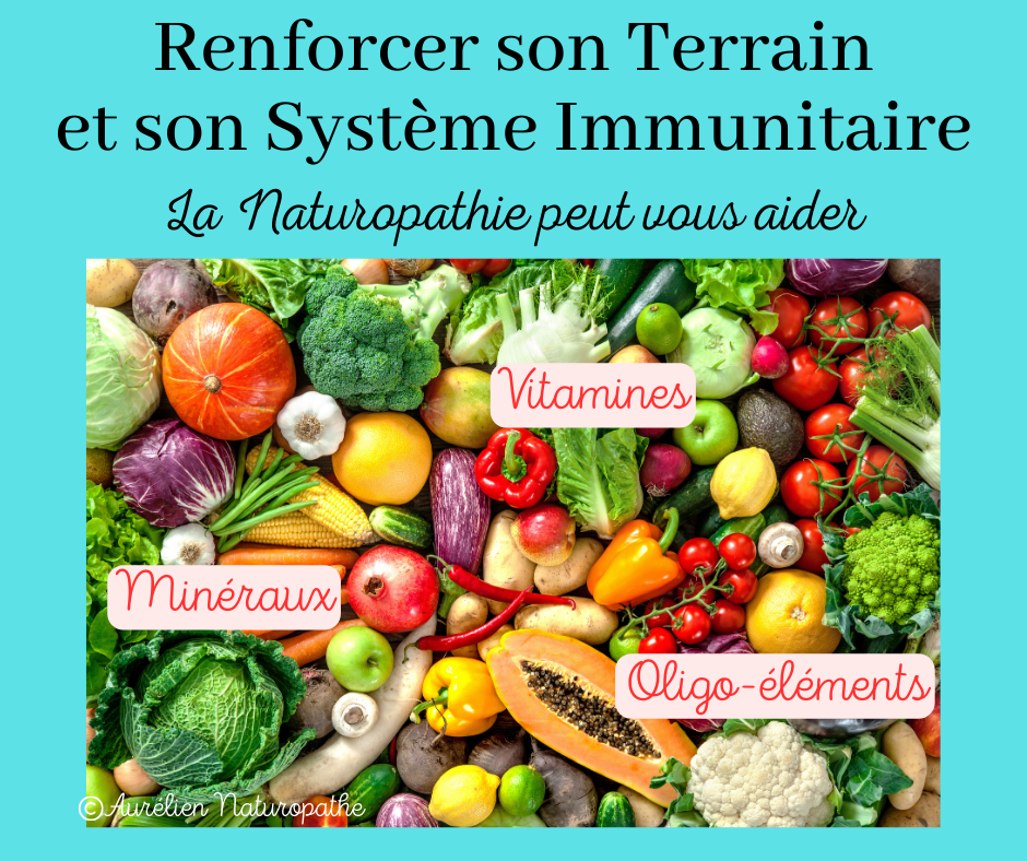 Renforcer-son-terrain