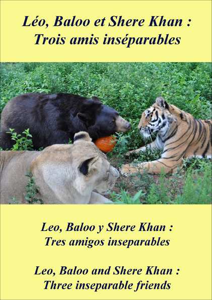 Cover-Leo-Baloo