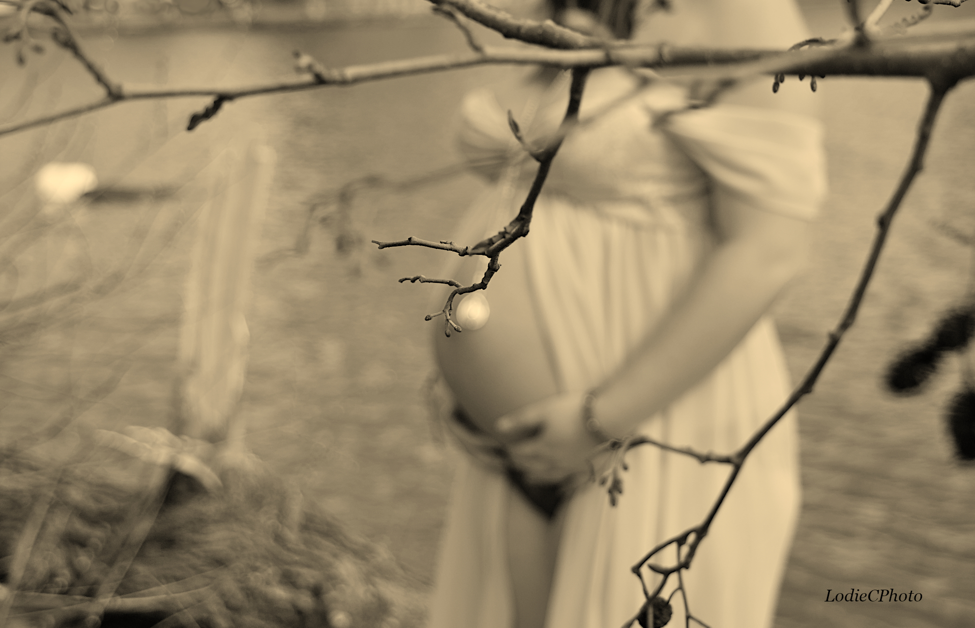  mg 1259sepia
