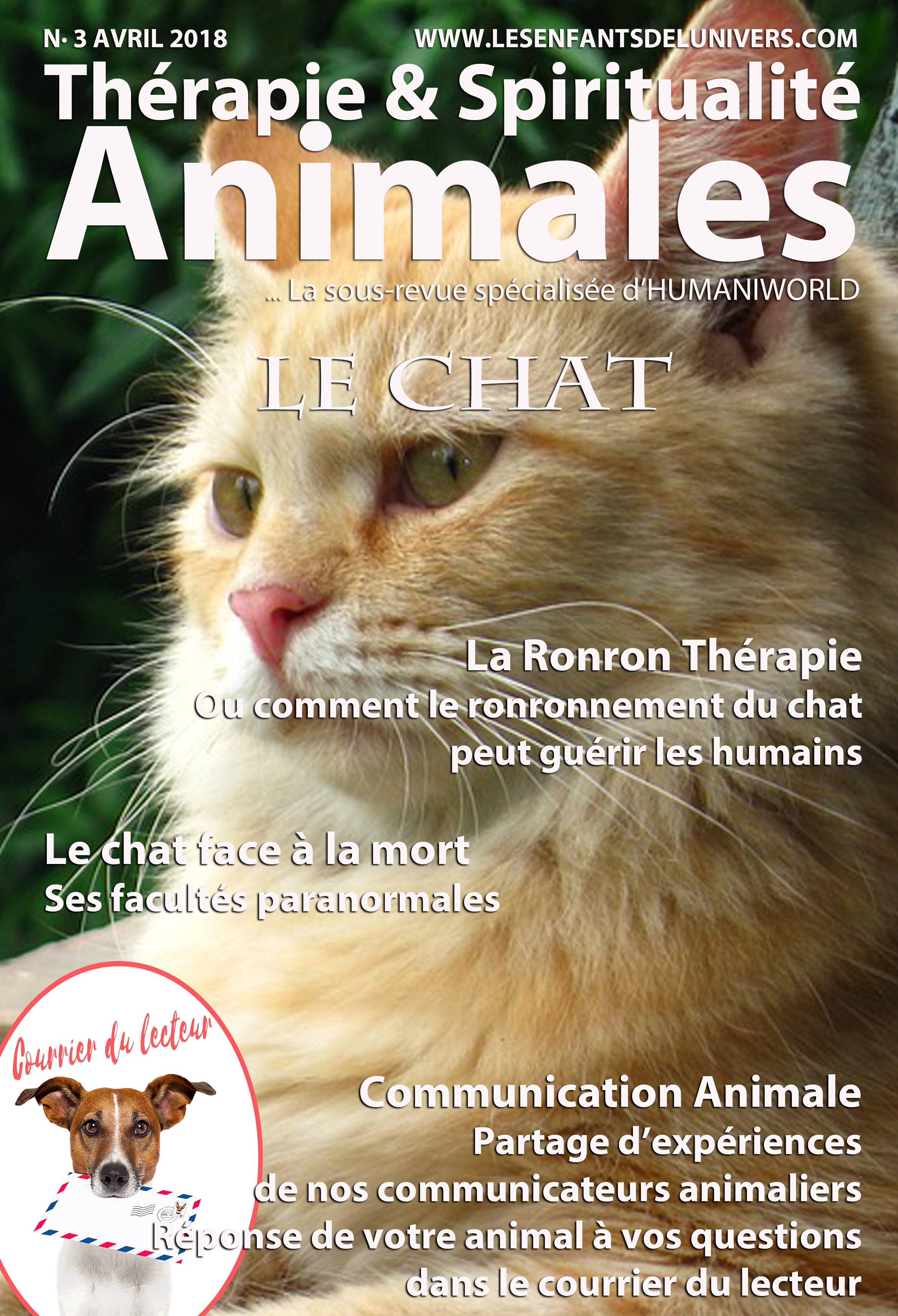 Cover-TS-N-3-Chat-Copie