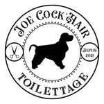Joe-cockhair