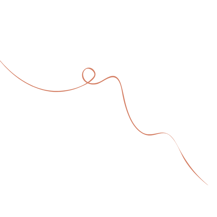 Trait-manuscrit-terracotta-fond-transparent