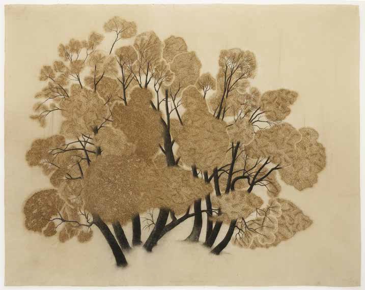 Claire forgeot