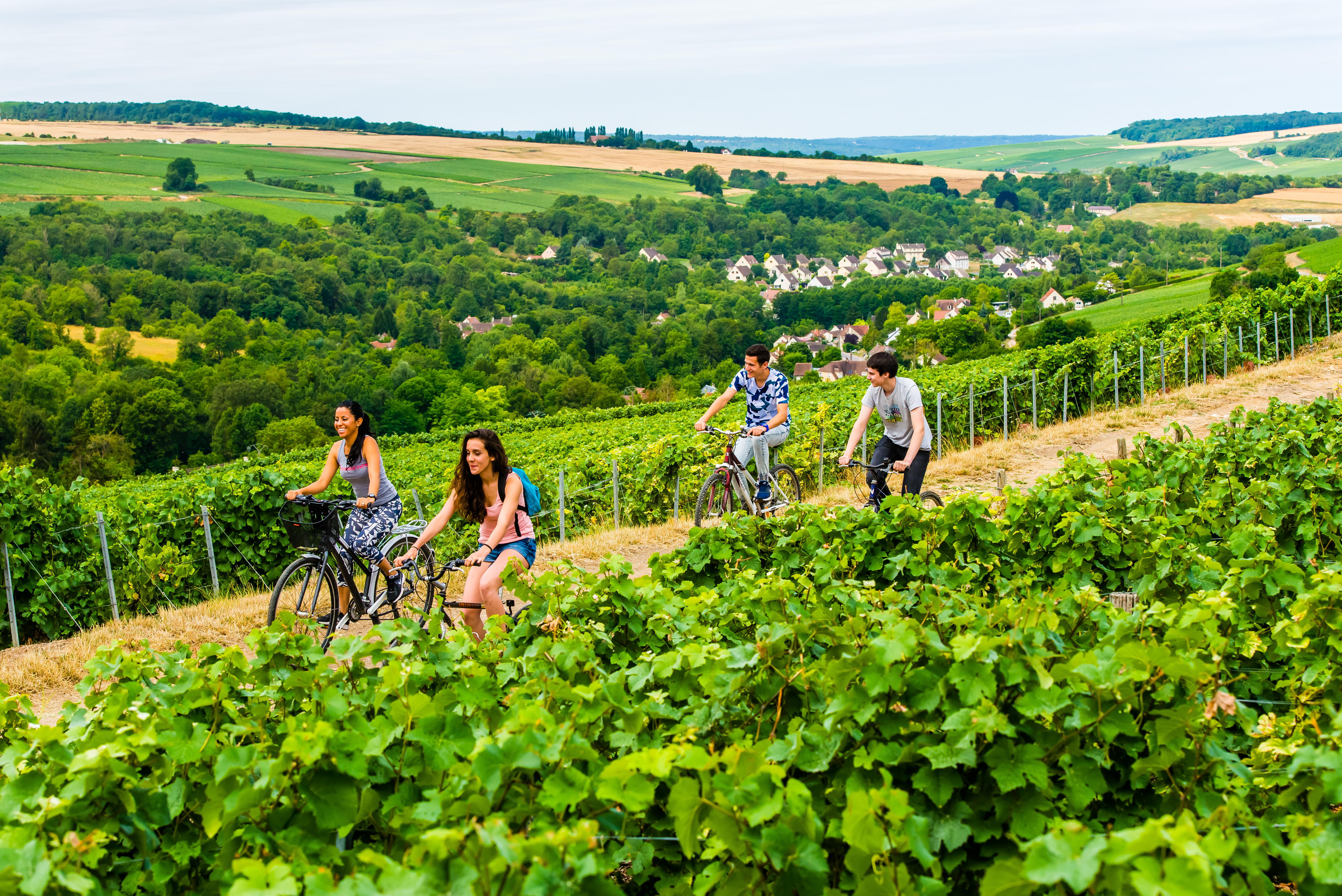 Randonnee-en-velo-dans-le-Vignoble-Champagne