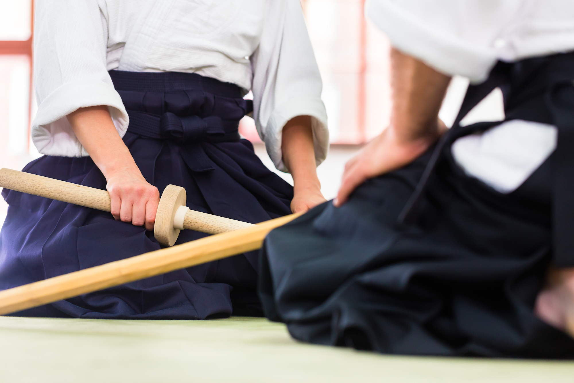 Aikido 7