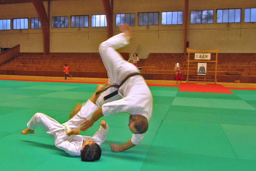 2015 01 31 stage aikido 33