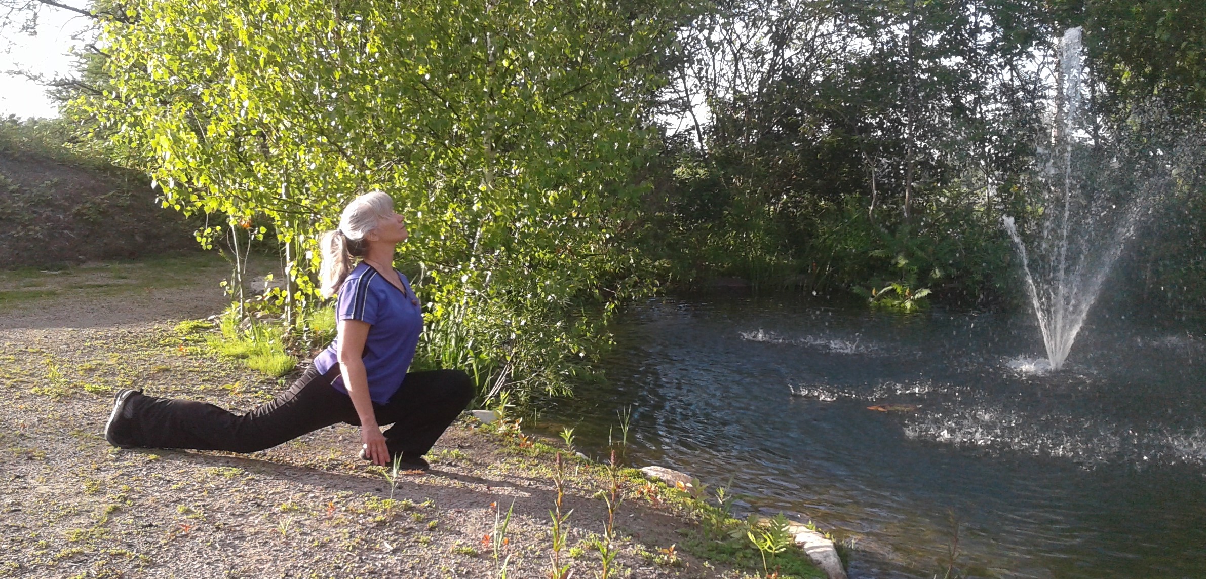 taikigong force et souplesse
se connecter à la source 
taichi qigong méditation
cowansville dunham bedford granby potton lac brome 