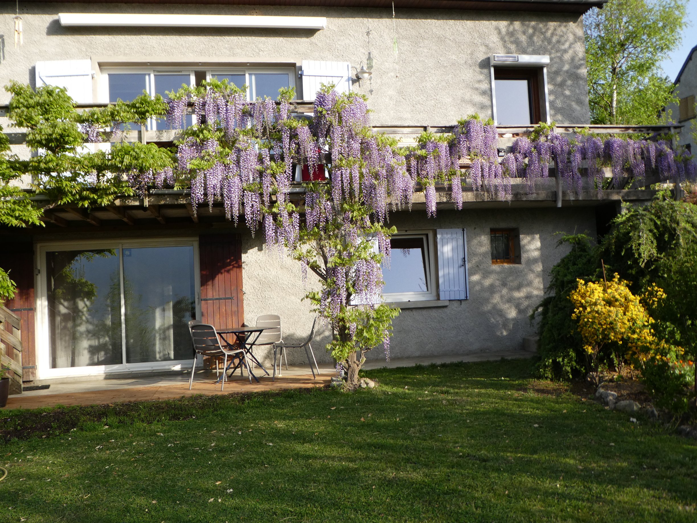 Jardins 17 