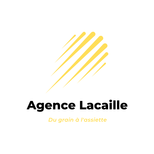 Agence-Lacaille-2-