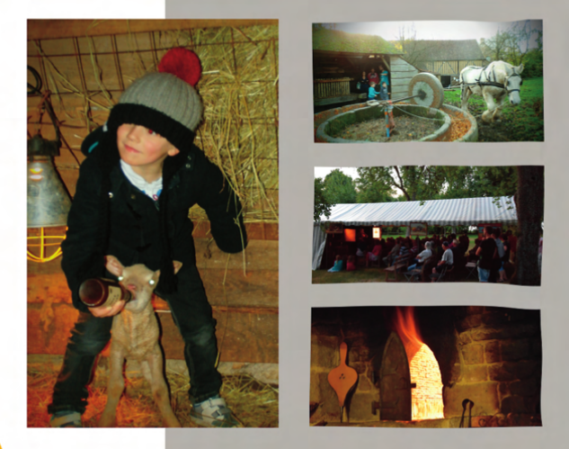 Activites