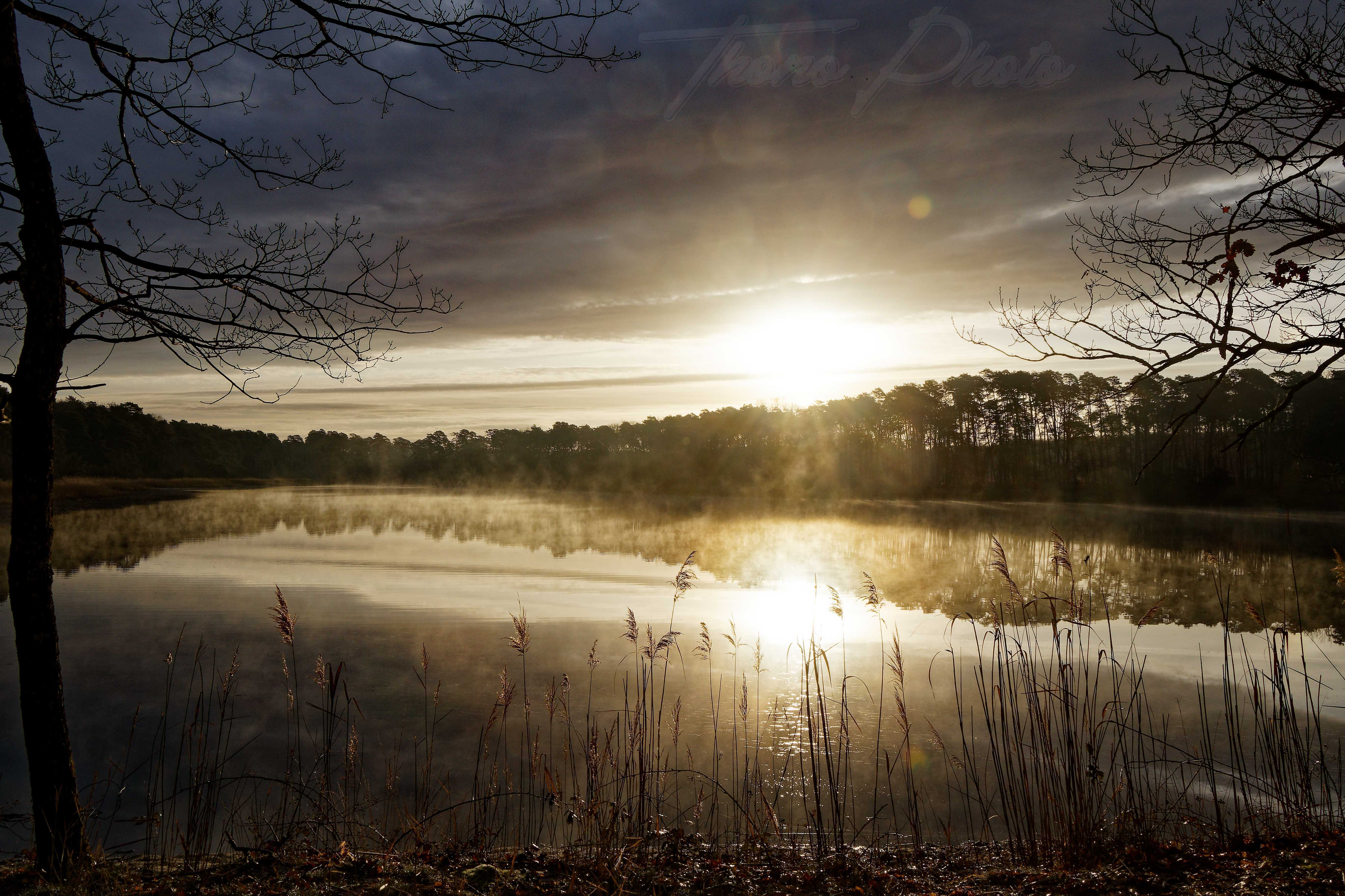 Etang de montperche neuvy 2023 03 20 9580 dxo dp xd cf