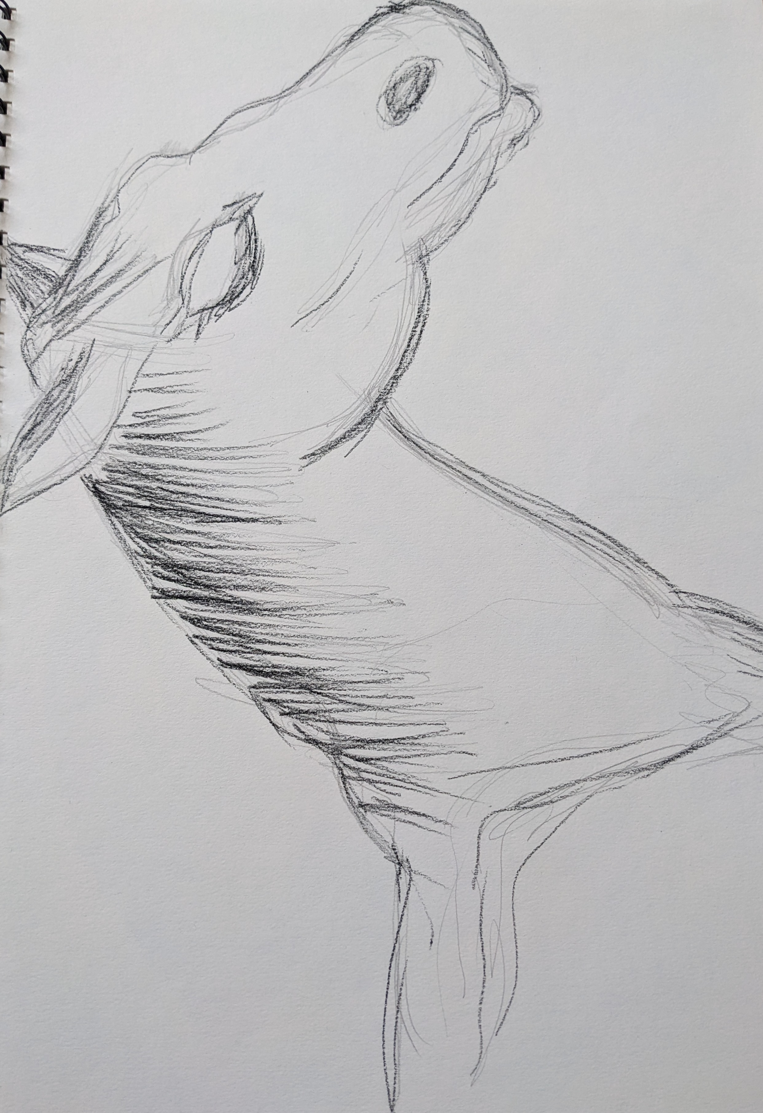 Pxl 20230403 094130535