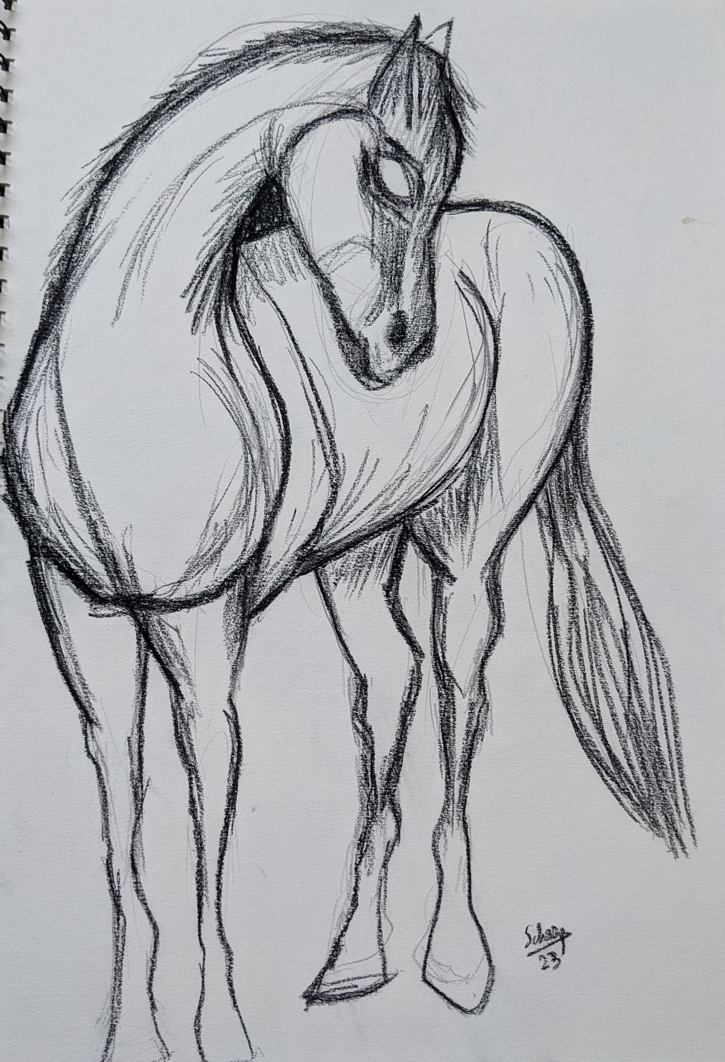 Pxl 20230403 094126208