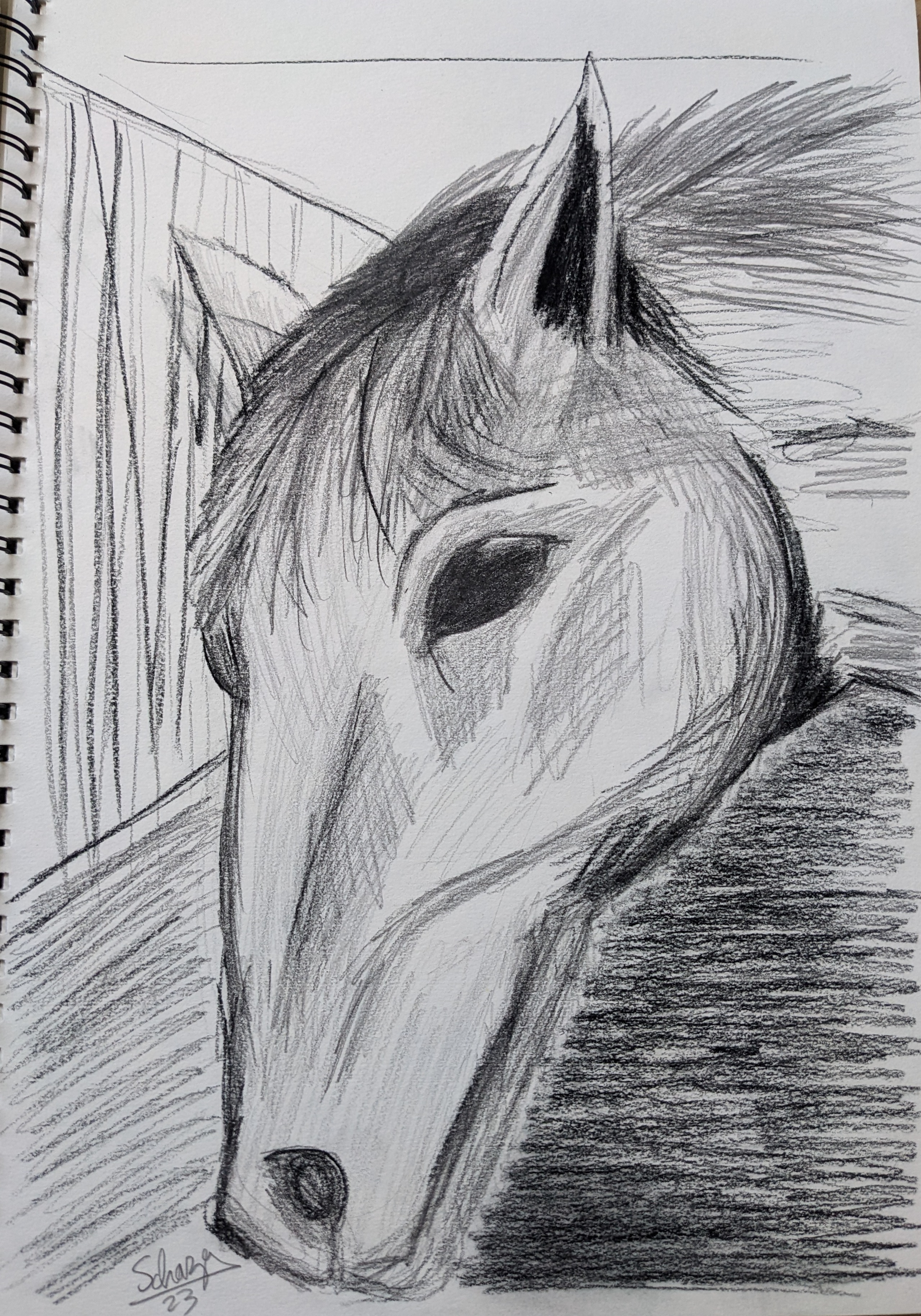 Pxl 20230403 094111479