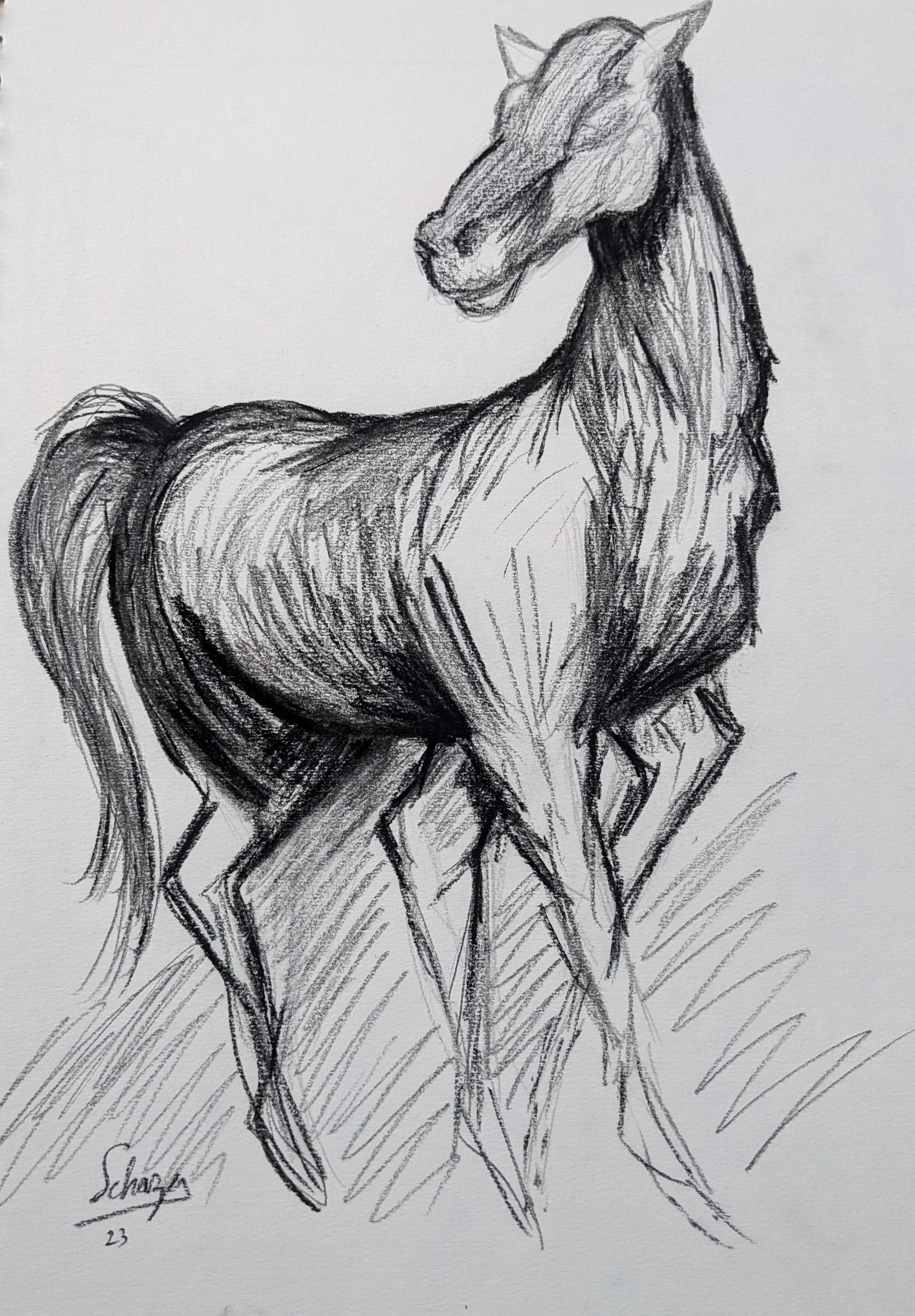 Pxl 20230403 094103967