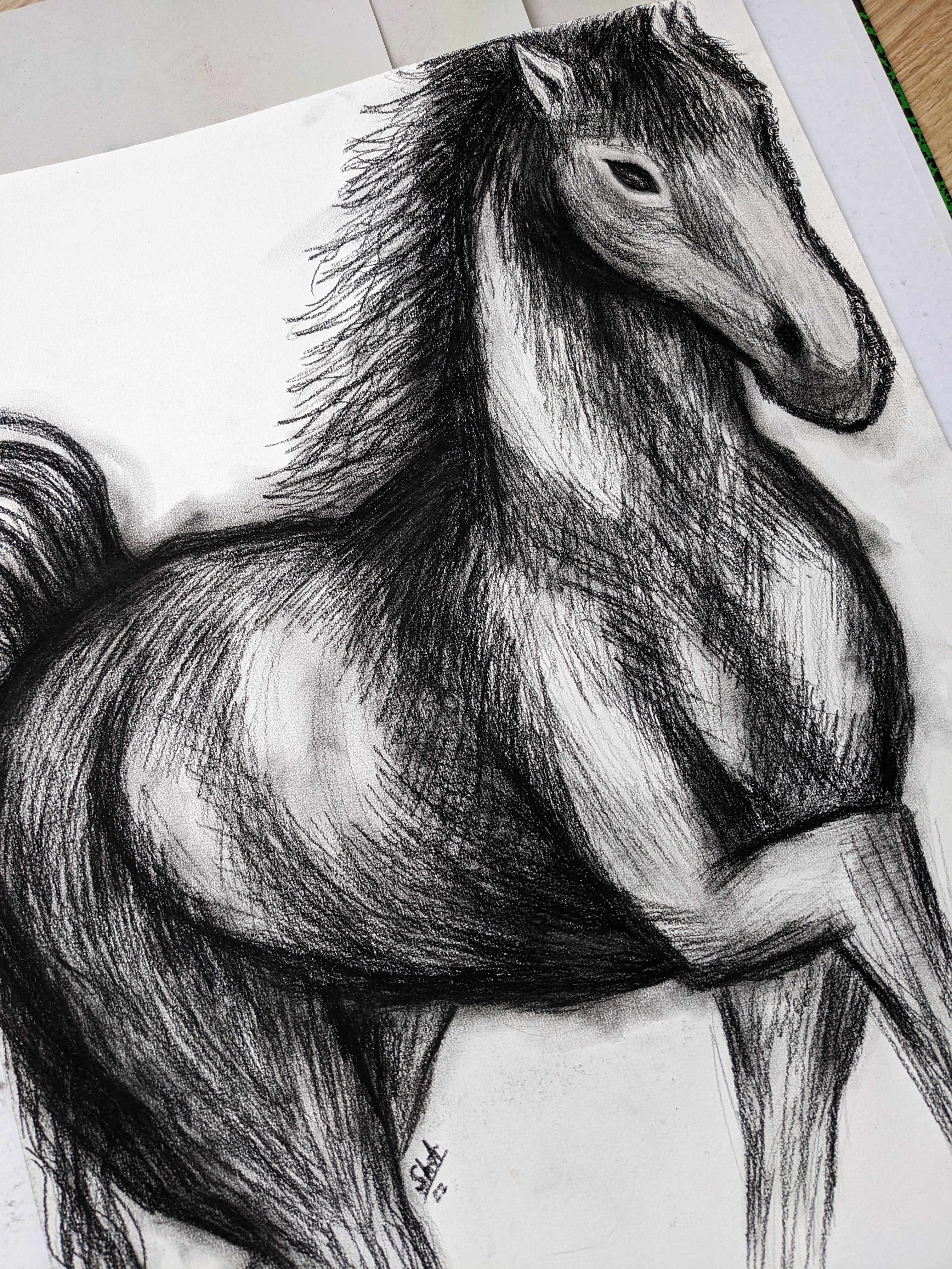 Pxl 20230403 092120180