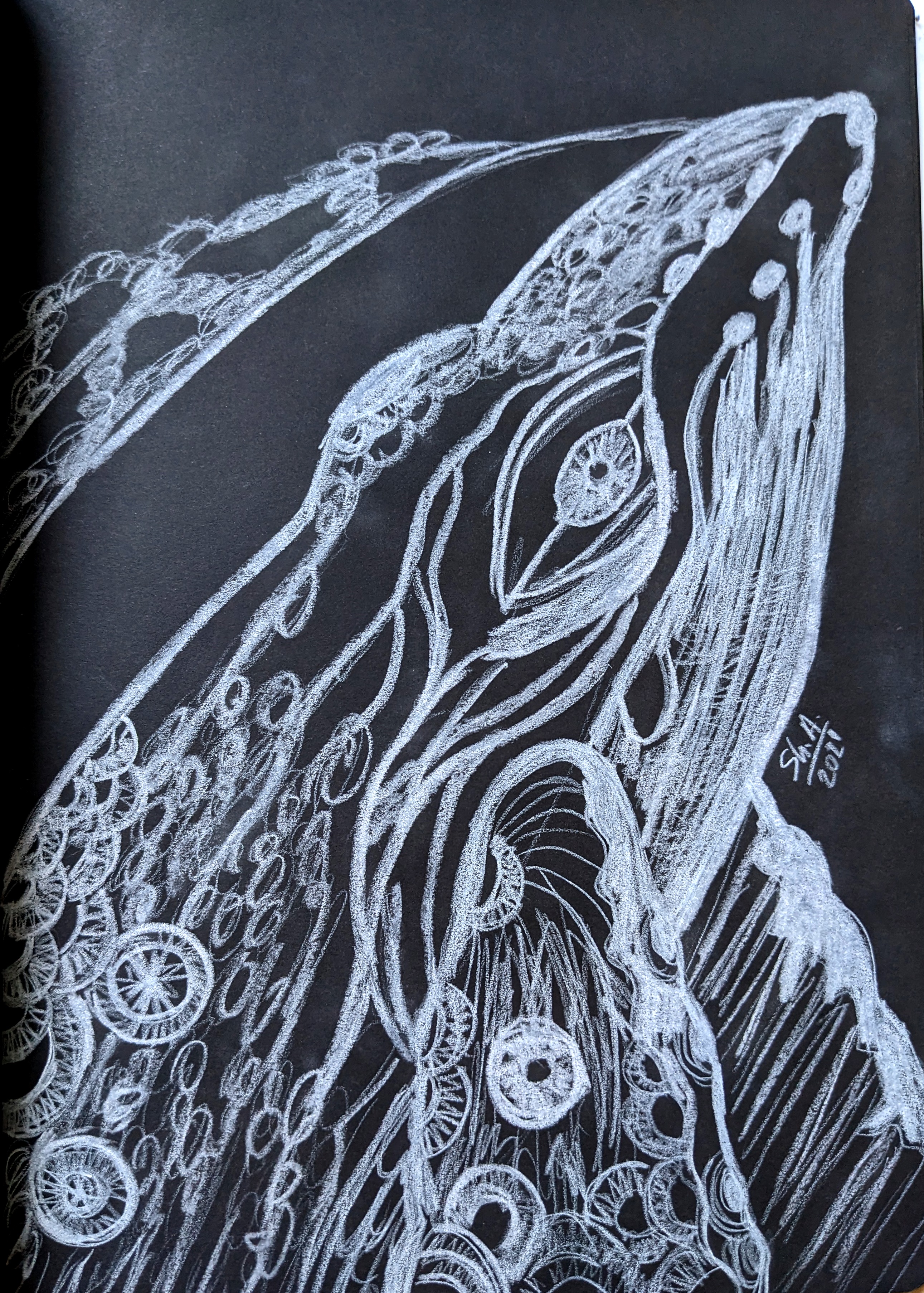 Pxl 20230403 094228587