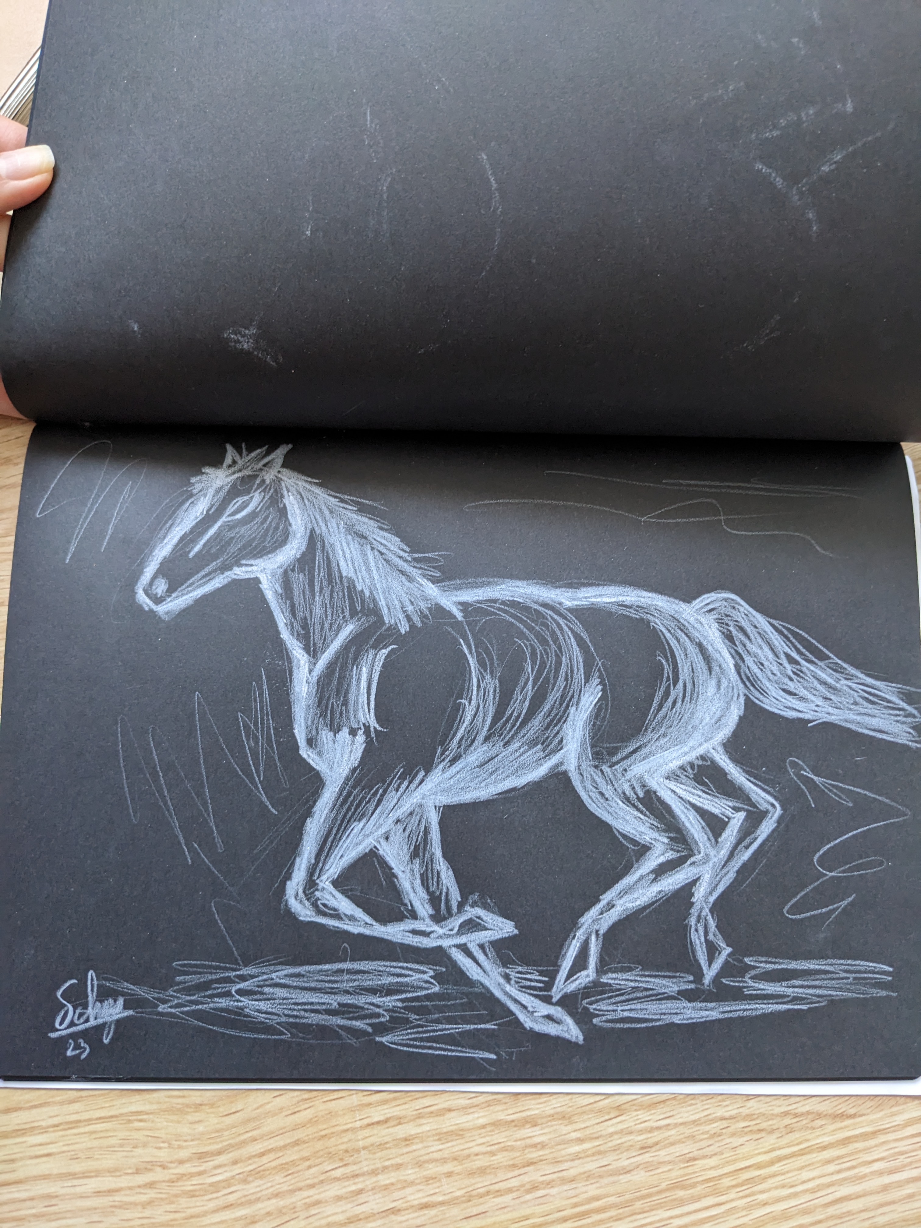 Pxl 20230403 094207365