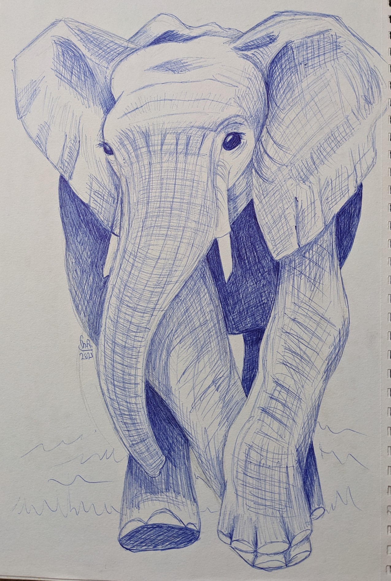 Pxl 20230403 094333520