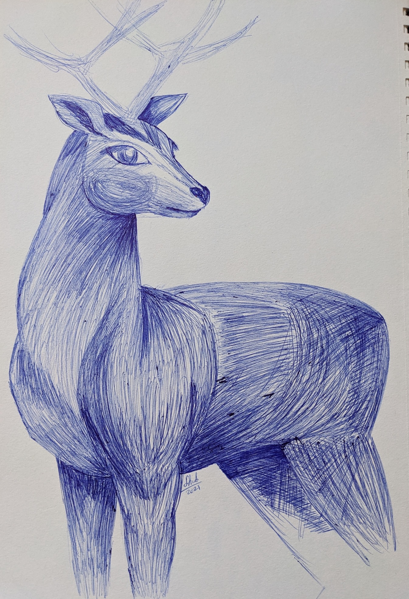 Pxl 20230403 094323131