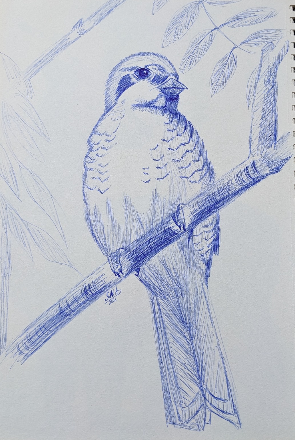 Pxl 20230403 094314661