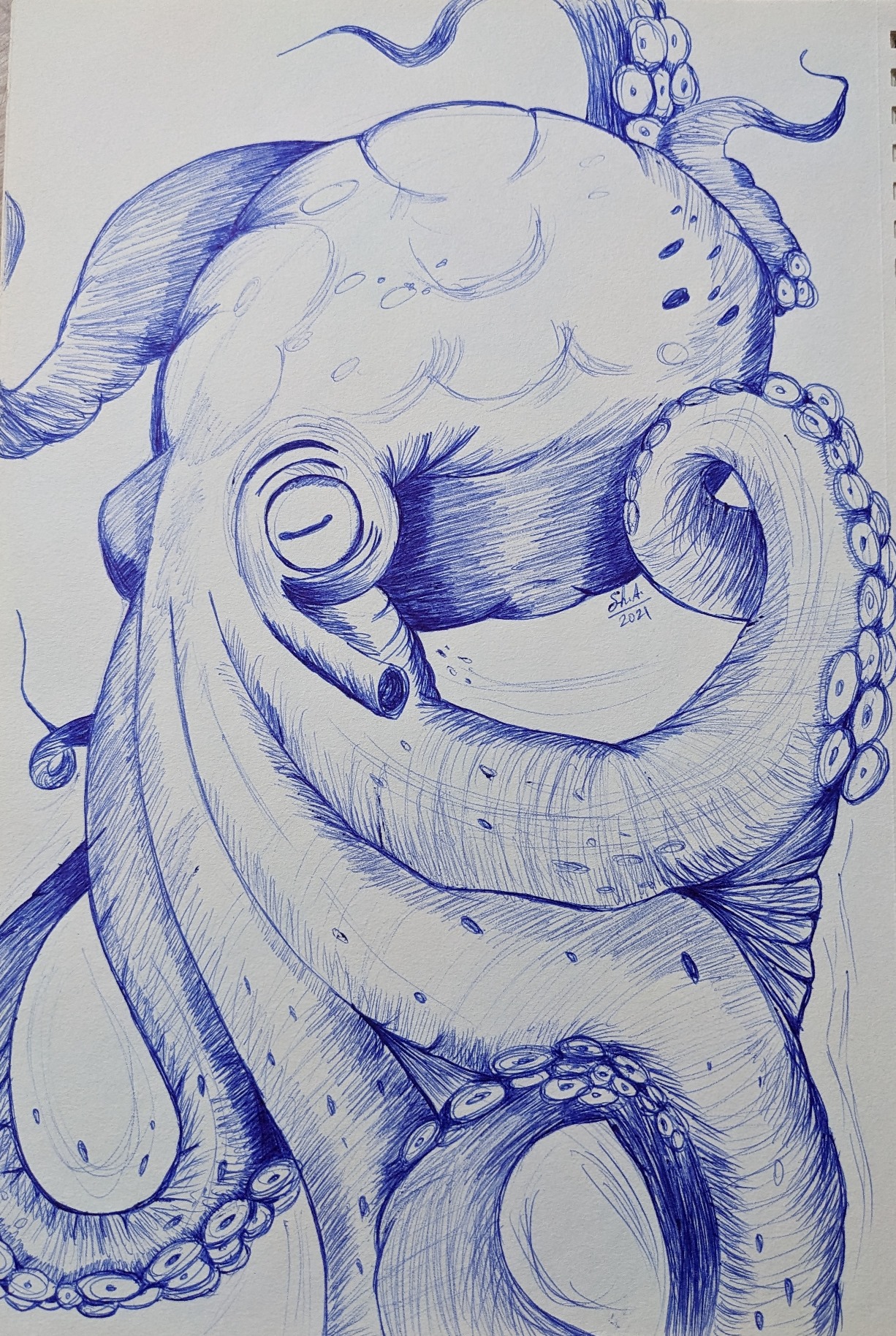 Pxl 20230403 094302675