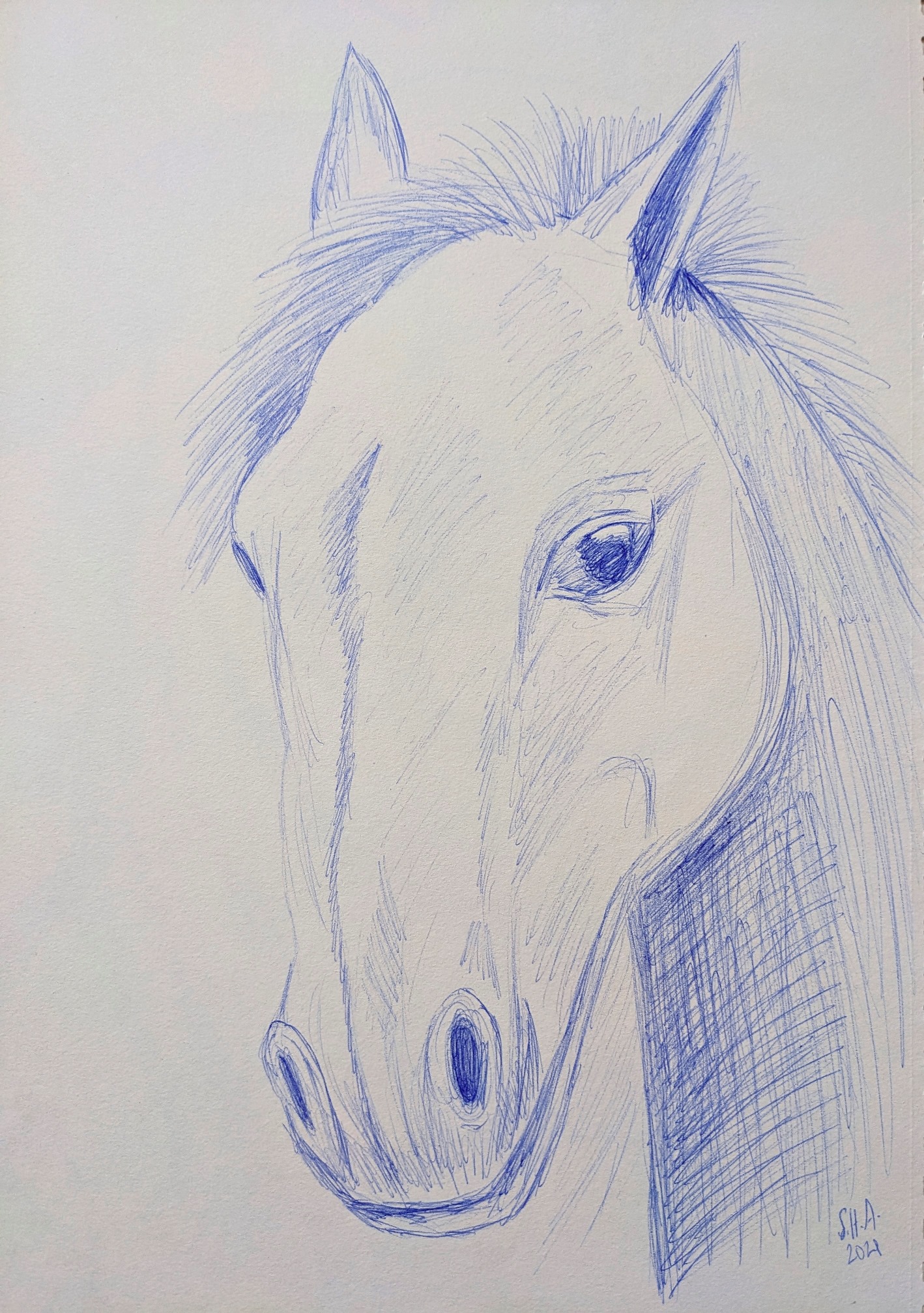 Pxl 20230403 094258531