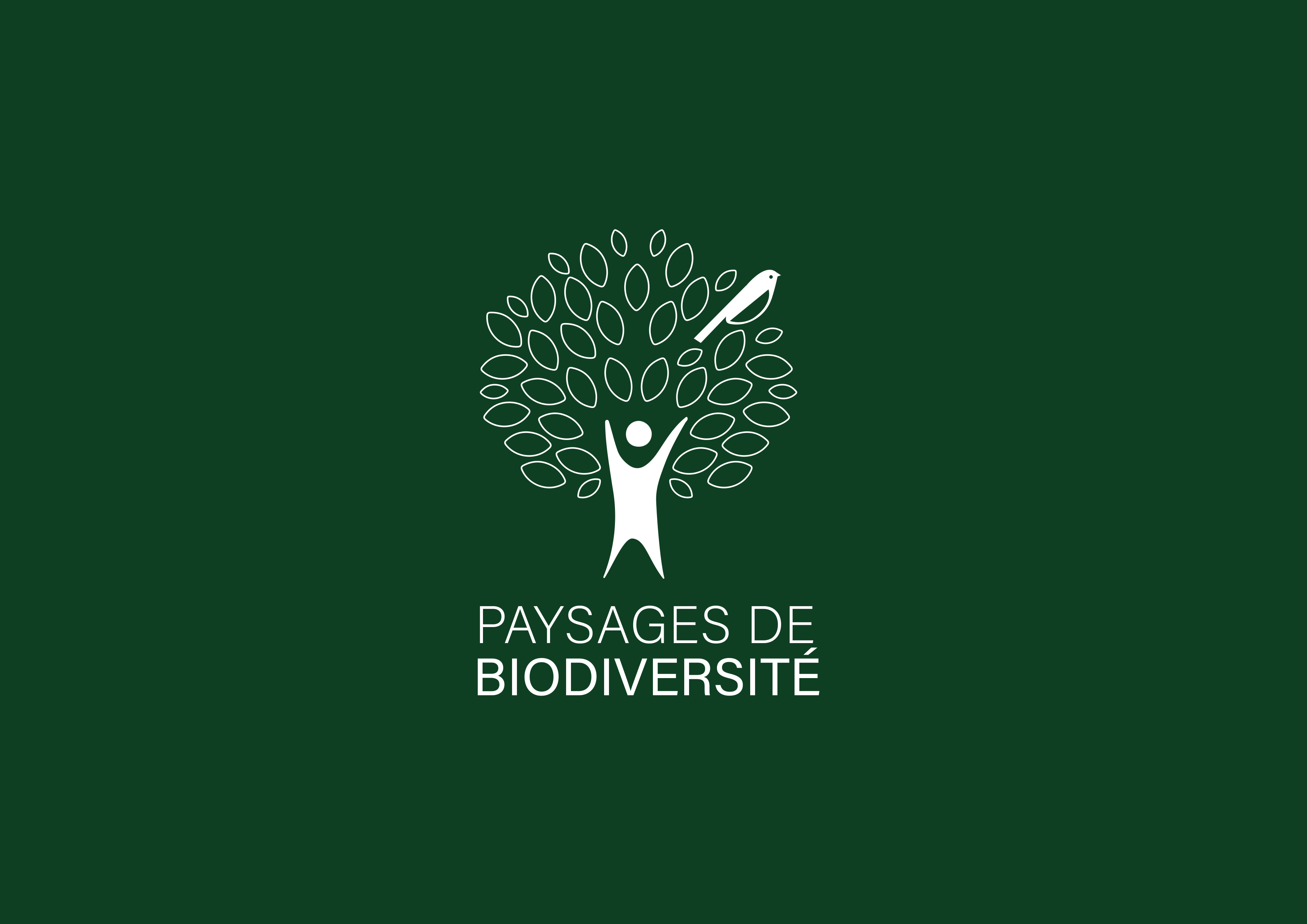Pb-logo-ok-green