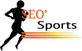 Logo-SEO