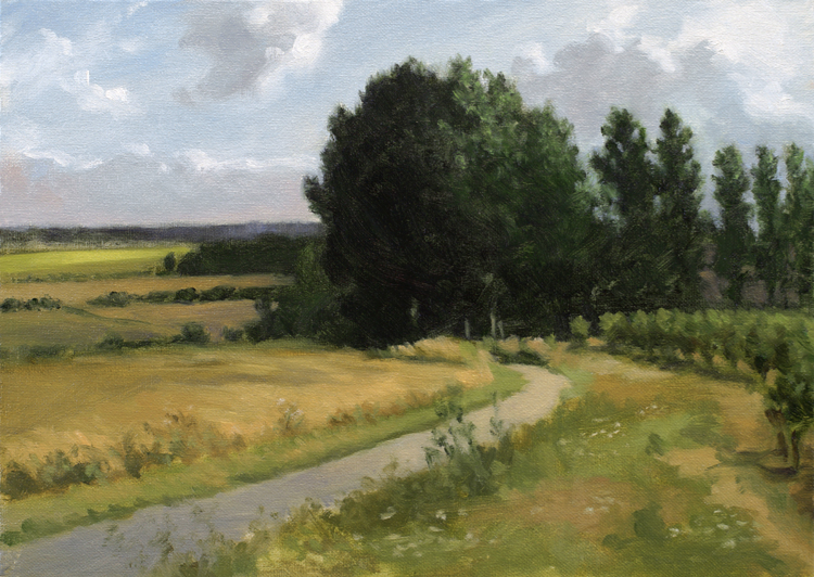 Vincent Madras schaal colors amabassadeur 