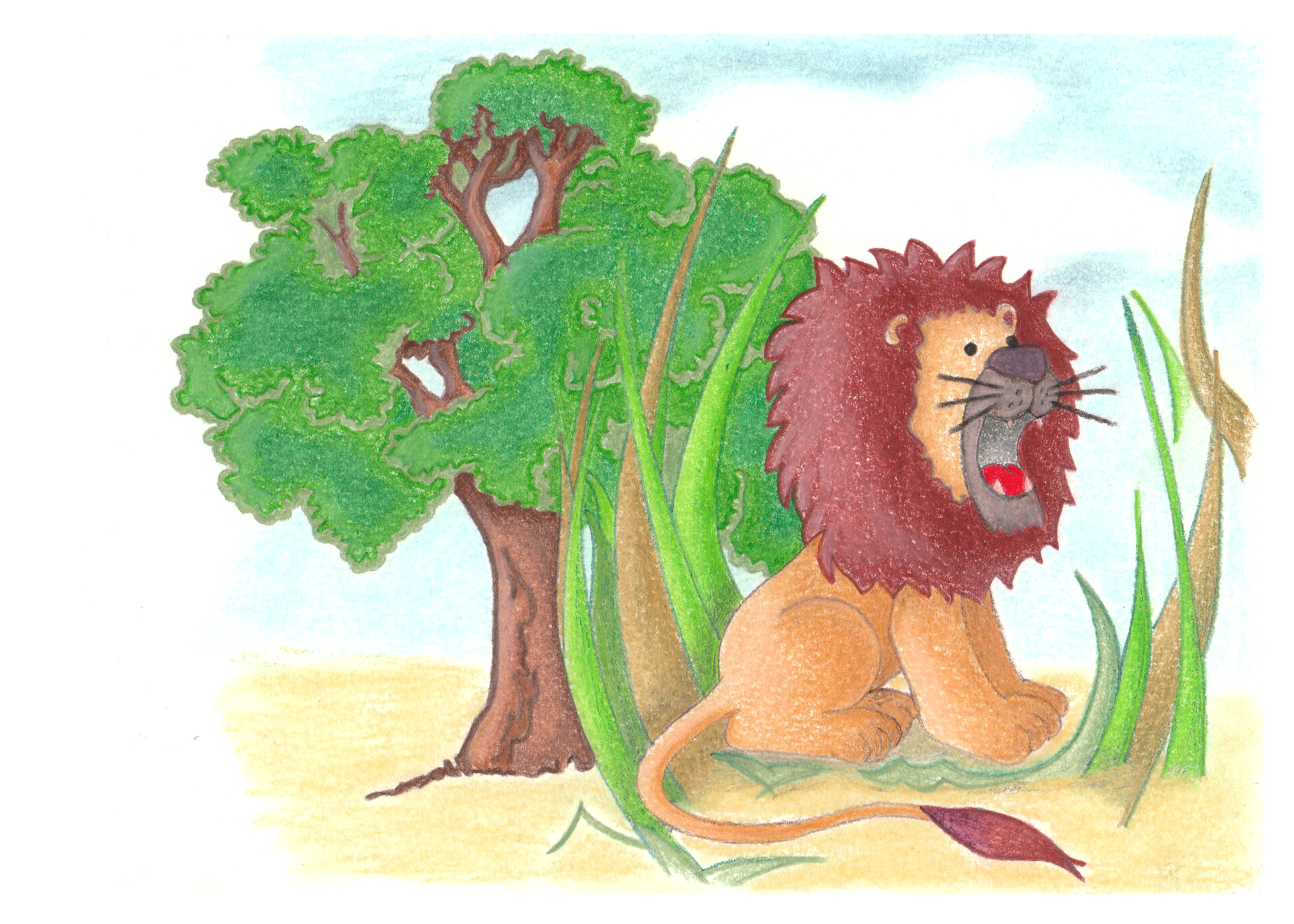 Lion c
