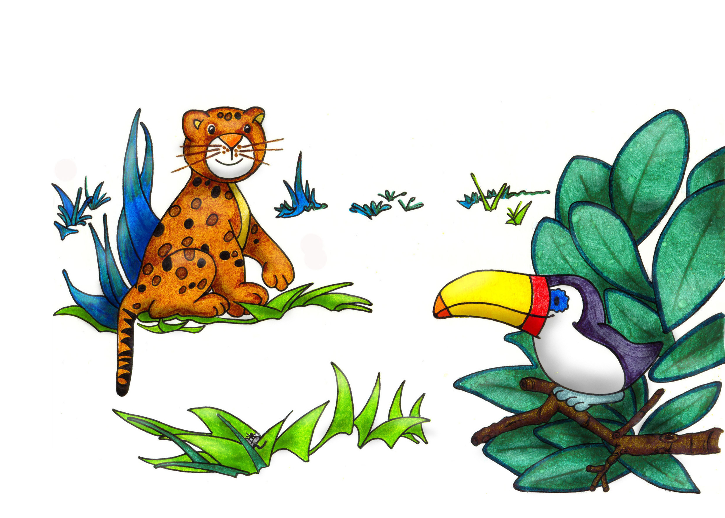 Guepard toucan c