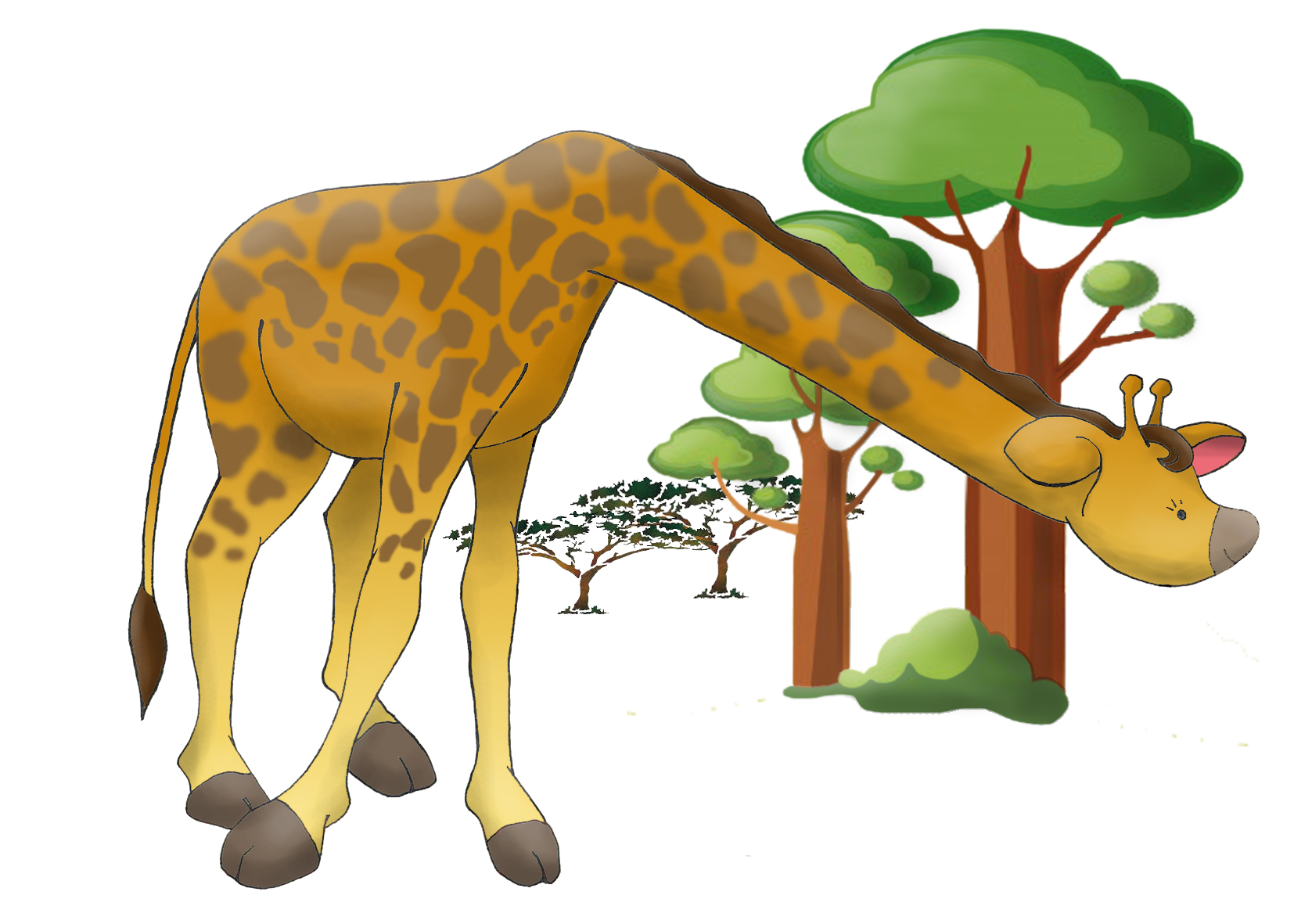 Girafe c