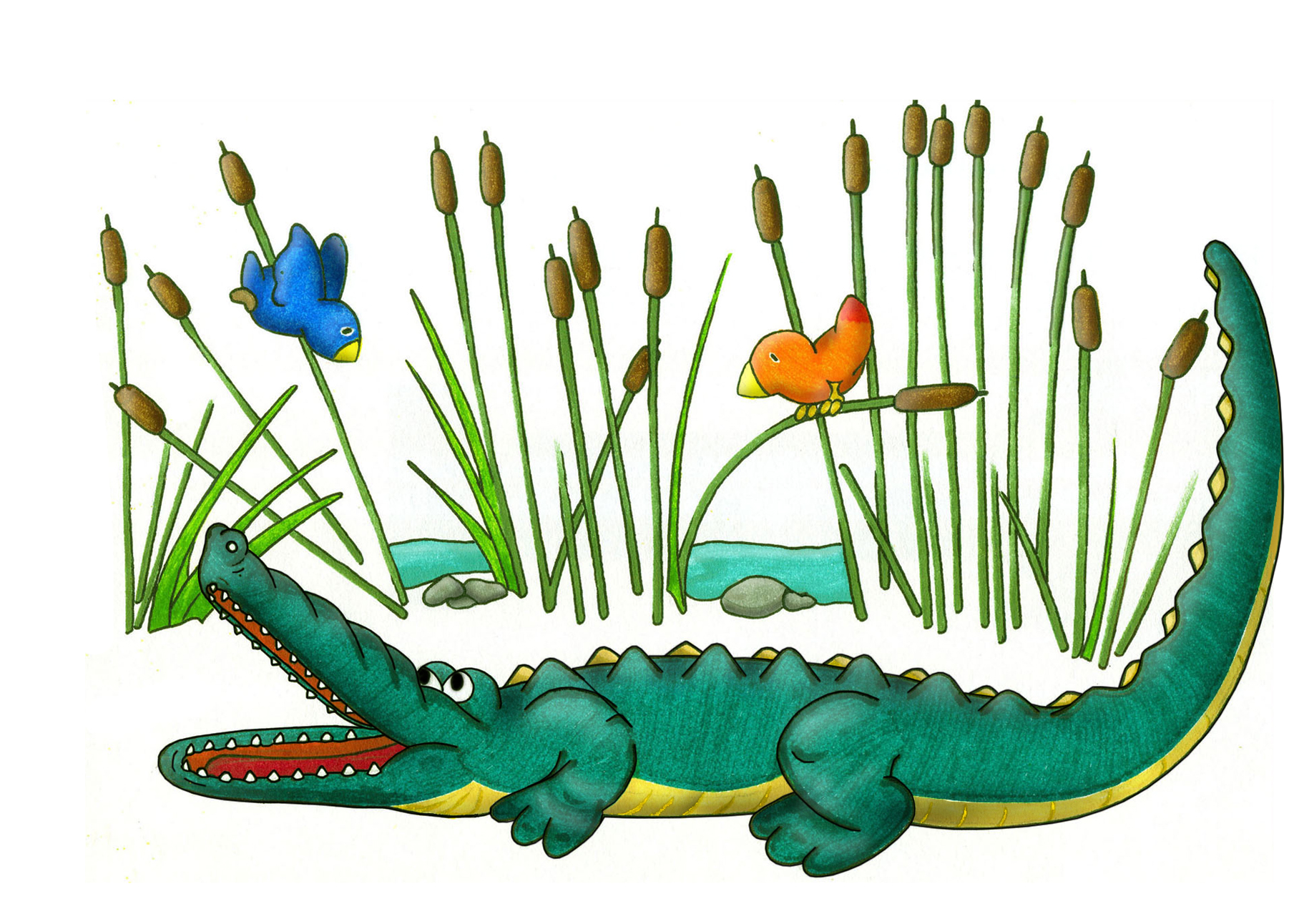 Crocodile c