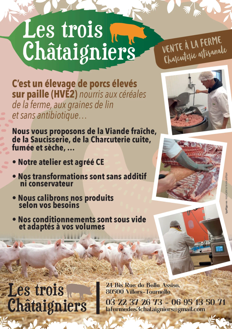 3chataigners flyer