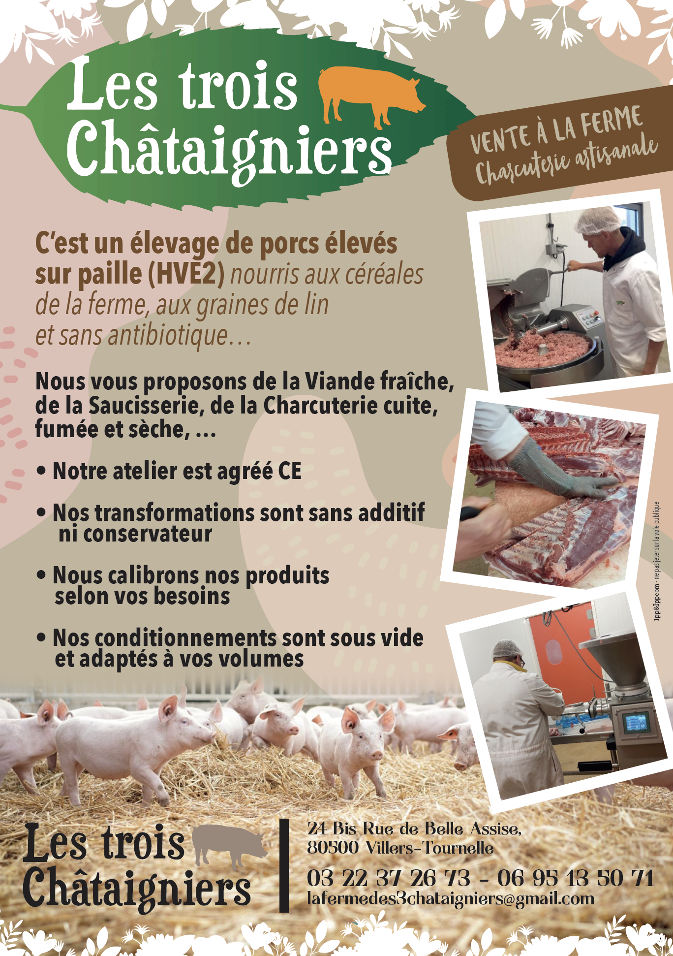 3chataigners flyer