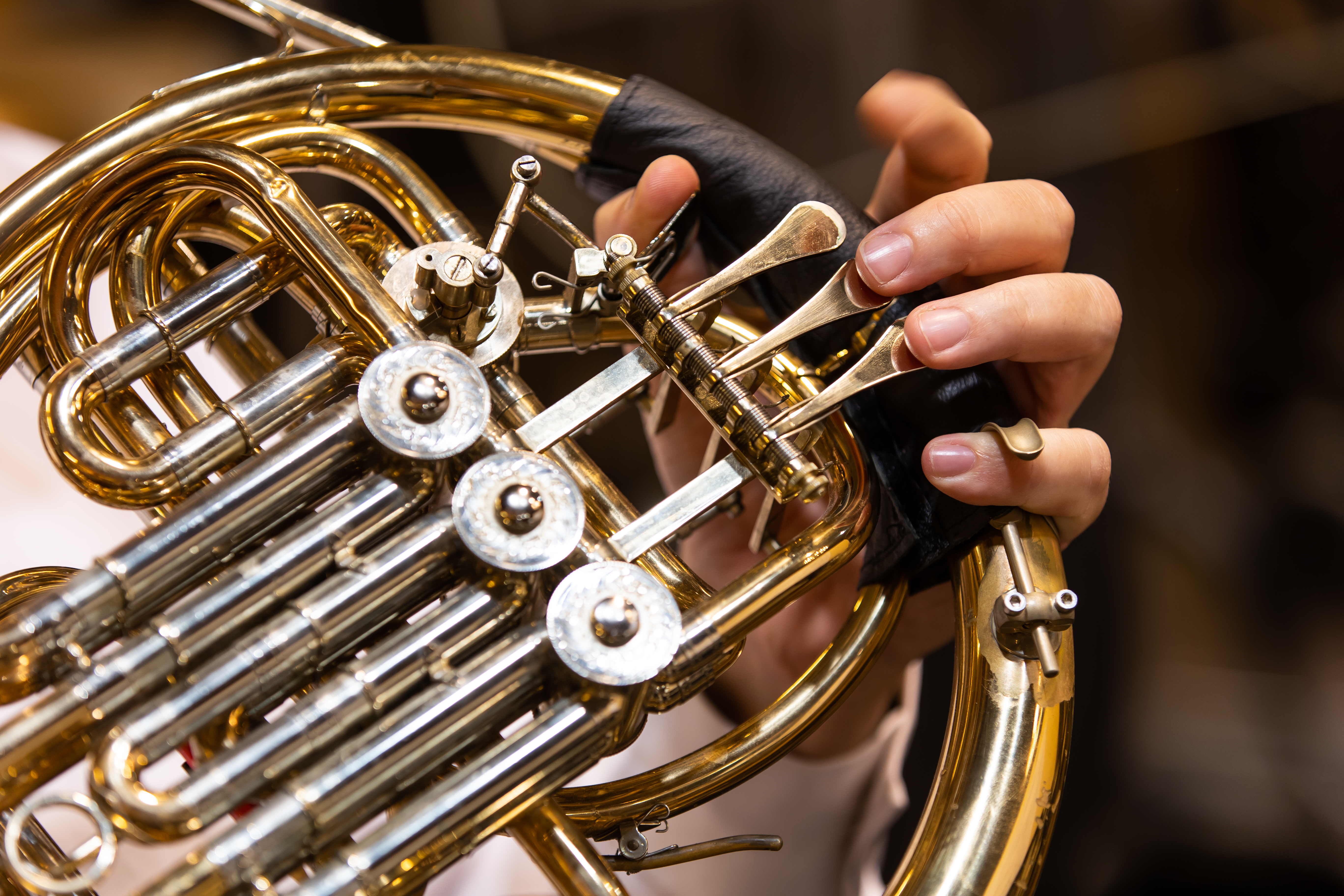 Philharmoniste musicien jouant au cor francais par concert