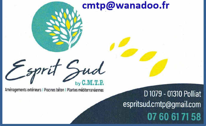 Cmtp bas