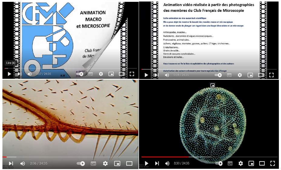 00-Video