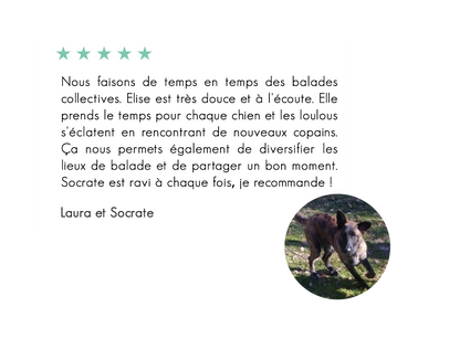 Socrate