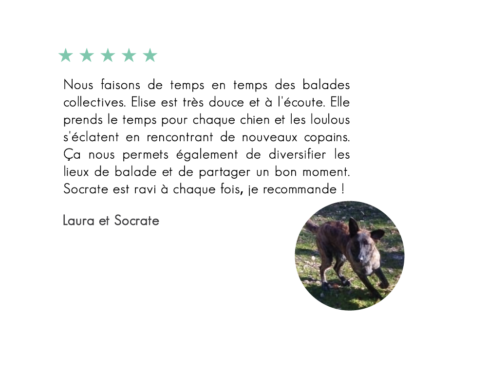 Socrate