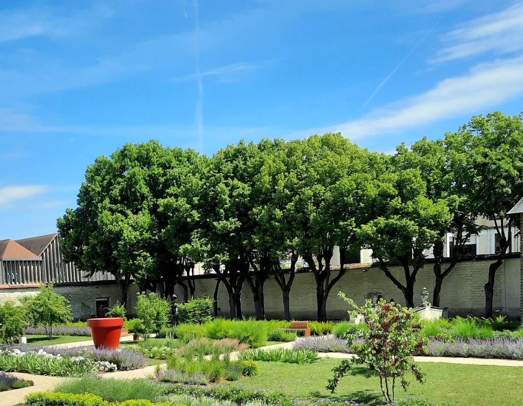 Le jardin de sculptures du MAM : une réinterprétation contemporaine de l'ancien jardin de l'évêché