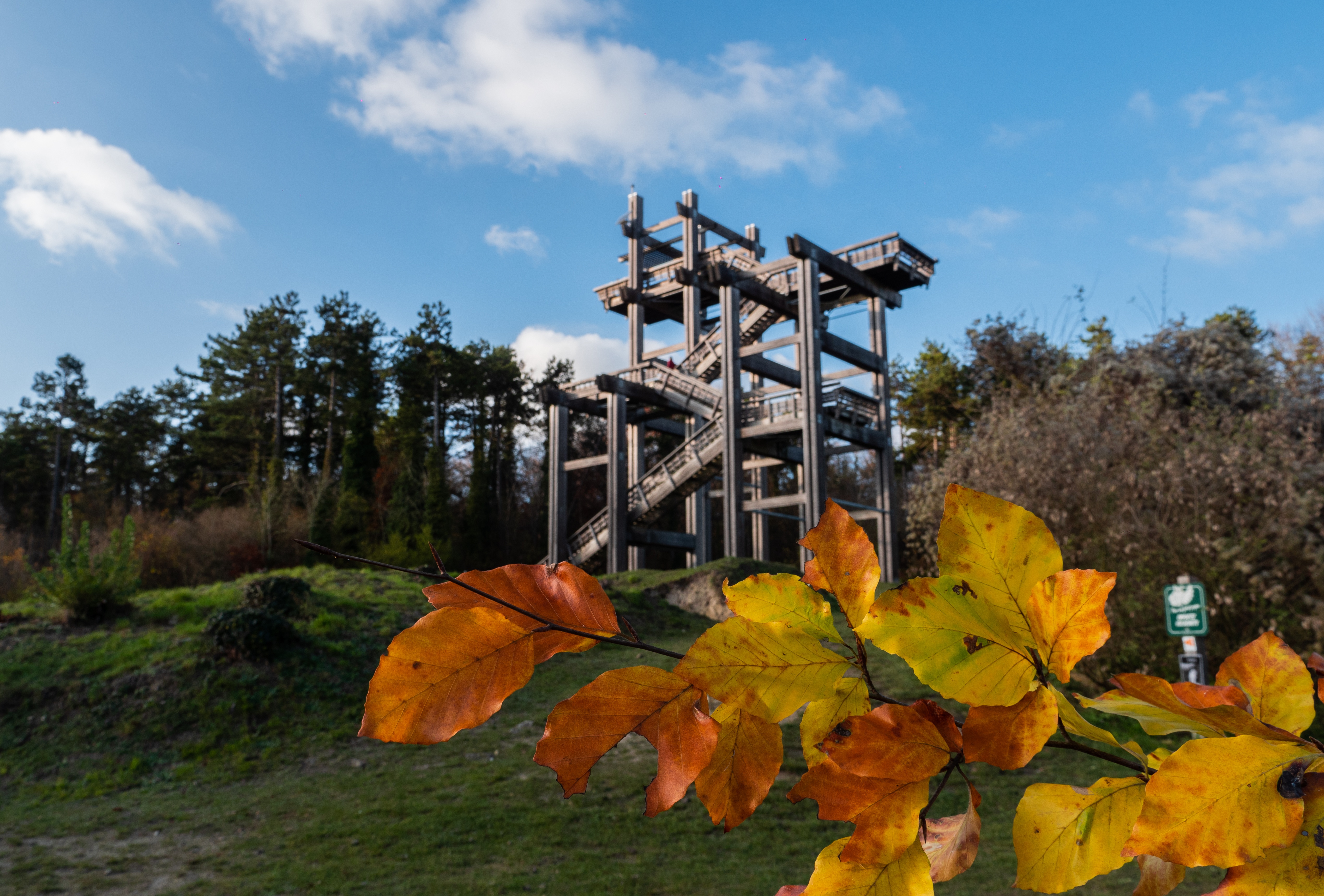 Tour-observatoire-du-plateau-de-Californie