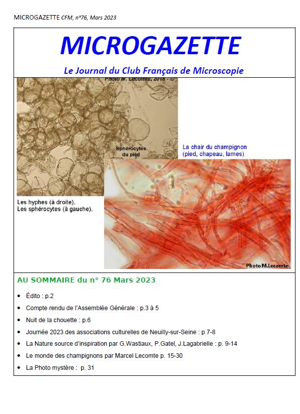 Microgazette-n-76-p01